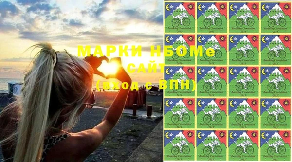 СК Сосновый Бор