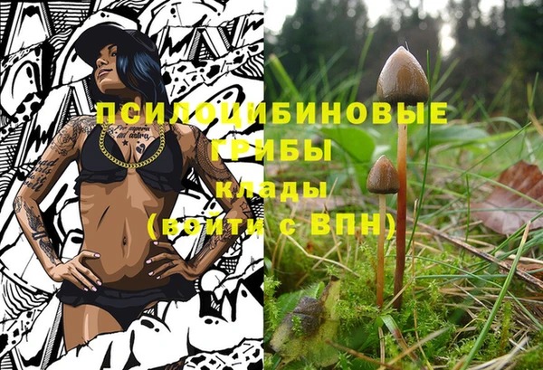 первитин Горно-Алтайск