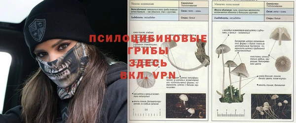 СК Горнозаводск