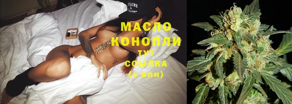 молекула духа Горняк